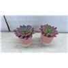 Image 5 : Vintage Pink Velvet Hat, 2 Mickey Mouse Ear Headbands, 2 Faux Succulents, and 6 pocket panels