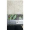 Image 7 : Komar Fototapeten Photomural Wallpaper, Forest Scene, Made in Germany, 12’1” x 8’4”