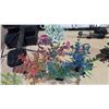 Image 5 : 30-Piece Aquarium Set: Filter, Pump, Light, Heater, Plants
