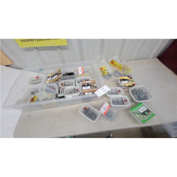 Clear Plastic Storage Tote of Assorted Hardware: HandyPack Nails and Screws