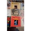 Image 9 : 50 Vintage Vinyl Record Lot: Johnny and the Hurricanes, Ray Charles, Sugar Shack, Cruisin'