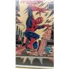 Image 3 : Gottlieb Star Series '80 The Amazing Spider-Man Pinball Machine Framed Backglass, 30 × 24”