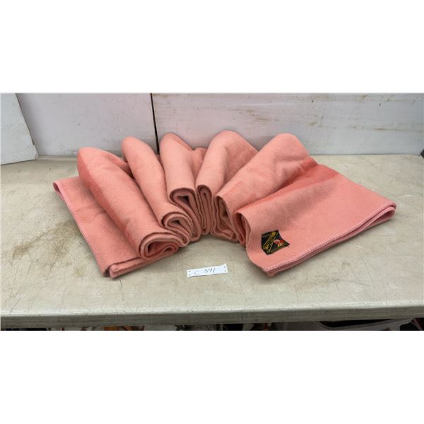 Vintage Trapper Point All Wool Mothproofed Blanket, Made in England for Eaton's of Canada, Pink