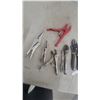 Image 4 : Assortment of Pliers Including Vise-Grip Locking, Channellock Tongue-and-Groove, Slip-Joint and Mor
