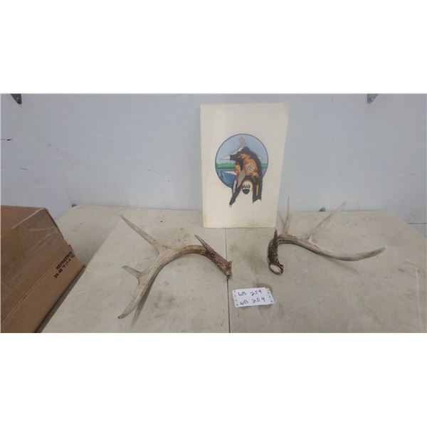 Two Shed Deer Antlers and L. Romero 1997 Native American Bear Motif Print