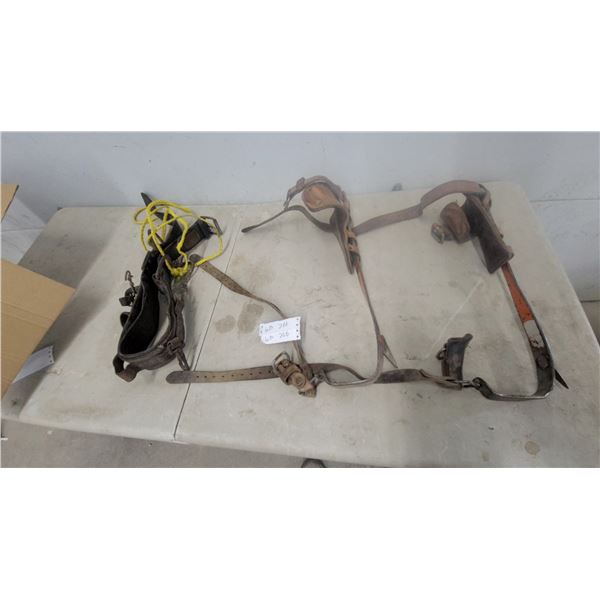 Vintage Tree Climbing Spikes with Leather Straps, Pads, and Lineman's Body Belt with Lanyard
