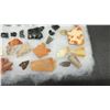 Image 7 : Collection of Prehistoric Lithic Artifacts, Chert and Obsidian Stone Tools and Flakes