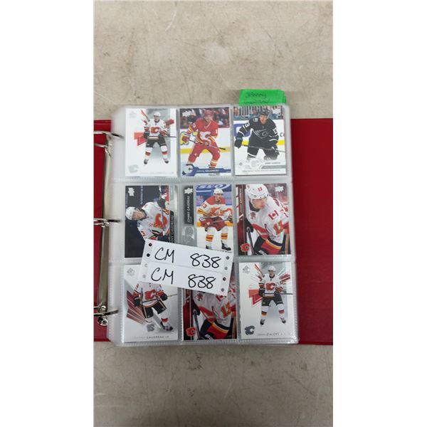 Assorted Hockey Stars Collection