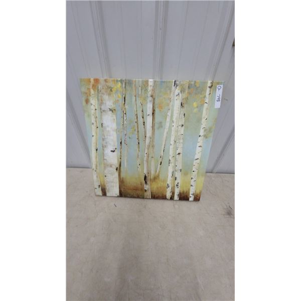 Birch Tree Forest Canvas Wall Art Print with Autumnal Tones 24”×24”