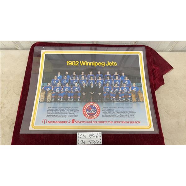 Vintage Winnipeg Jets 1982 Team Poster
