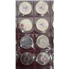 Image 4 : 49 Olympic and Millennium and Colored Quarters Collection