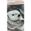 Image 3 : Framed Sea Otter Colored Pencil Drawing or Print, Signed and Dated 1998, 16 × 14”