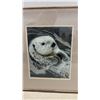 Image 4 : Framed Sea Otter Colored Pencil Drawing or Print, Signed and Dated 1998, 16 × 14”