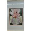 Image 3 : Framed 1995 Watercolor Painting of Pink Iris, Artist Signed, Gold-Tone Frame, 20 × 16”