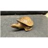Image 7 : Hand-Carved Wooden (Ironwood) Animal Figurines Including Bison, Bears, Turtle, Bird, and More.