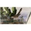 Image 4 : Framed Watercolor Painting of Cactus Wren on Prickly Pear, Signed and Dated, 22 × 18”