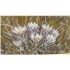 Image 4 : Framed Landscape Oil Painting by E. C. Busch, Wildflower Field, 21 × 25”
