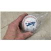Image 6 : Rawlings Official American League Baseball Signed by Bobby Brown, Backpack, Fins, Glove
