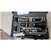 Image 3 : Young Chang YCL-300 Student B-Flat Clarinet in Hard-Shell Case