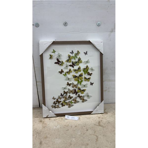Framed Shadow Box Art with Preserved Butterflies and Cutouts in Brown, White, Green, and Yellow