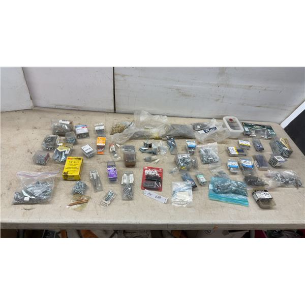 Assorted Hardware Lot: Hammer Tacker Staples, Rivets, Finishing Nails, Screws, Toggle Bolts