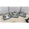 Image 3 : Outdoor Lighting: Electripak 300-Watt Halogen Security Lites, Wall Lanterns, Floodlights and