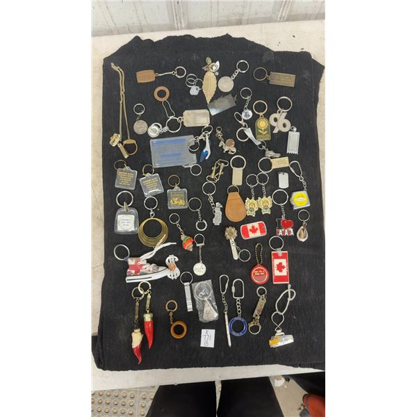 Large Collection of Assorted Keychains