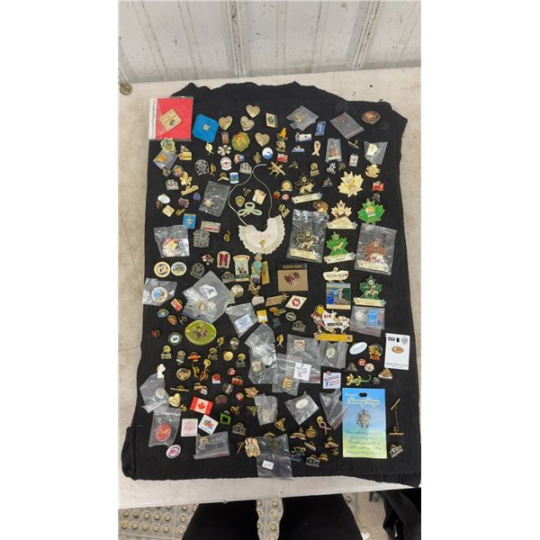 Large Collection of Assorted Pushback Pins