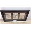 Image 1 : Framed Triptych Wall Art with Natural History Prints of Green Wrasse, Shells, and Coral, 15 × 30”