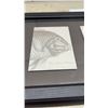 Image 3 : Framed Triptych Wall Art with Natural History Prints of Green Wrasse, Shells, and Coral, 15 × 30”