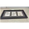 Image 6 : Framed Triptych Wall Art with Natural History Prints of Green Wrasse, Shells, and Coral, 15 × 30”