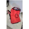 Image 5 : Titan by Arctic Zone Cooler, Red Insulated Bag, and Package of Matting