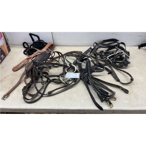 Assorted Horse Tack: Bridles, Reins, Bits