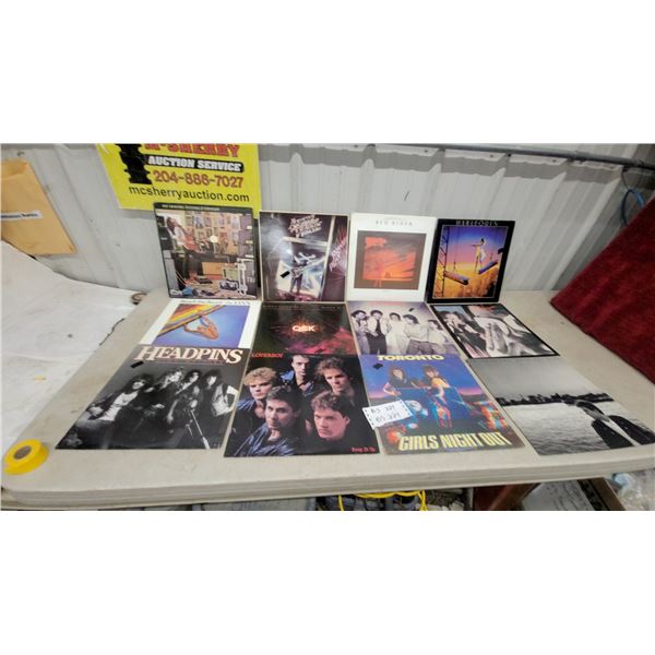 12 Vintage Vinyl Record Album Lot: Pat Travers, Headpins, Loverboy, Red Rider, Harlequin