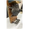 Image 3 : Antique Excelsior Wall-Mount Coffee Grinder by Arcade Manufacturing Co., Freeport, Illinois