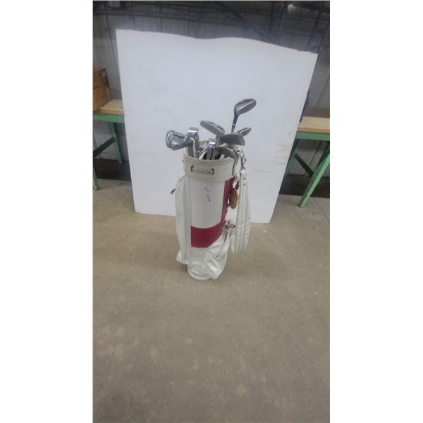 Golf Club Set: Wilson Staff, MacGregor, Penick, and Idea Clubs