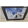 Image 2 : Framed Winter Wolves Print, Signed “Ben Hosettove”
