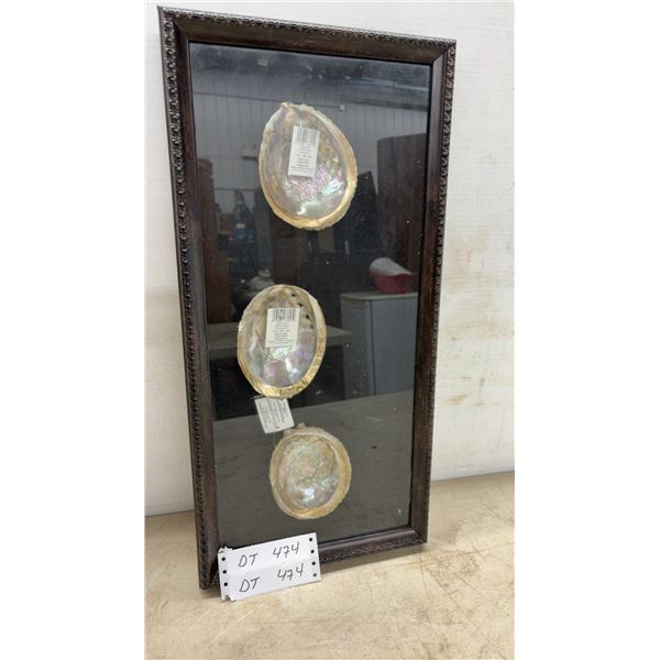 Framed Display of Three Natural Mexican Abalone Shells, 21 1/2 × 10”