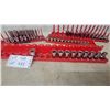 Image 3 : Socket Sets on Red Organizers