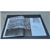 Image 3 : "The Mosaic Village: An Illustrated History of WPG North End" by Russ Gourluck, 2010