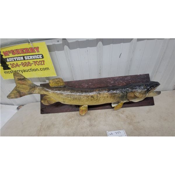 Mounted northern pike Fish Taxidermy on Wood Plaque, Walleye, 38” Long