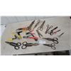 Image 1 : Assorted Snips, Shears, and Pliers: Tin Snips, Aviation Snips, Wire Strippers