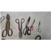 Image 3 : Assorted Snips, Shears, and Pliers: Tin Snips, Aviation Snips, Wire Strippers