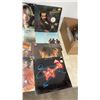 Image 6 : Lot of 30 Vinyl LPs: Shana, Dylana, Mark Korven, Kenny Rogers, Lee Greenwood
