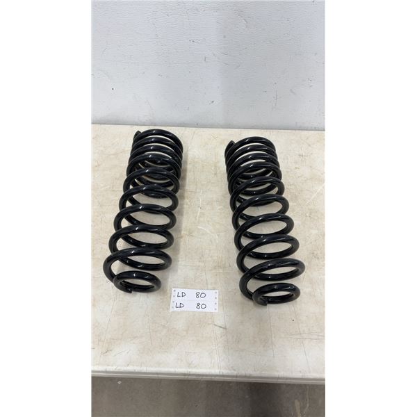 Pair of Black Coil Springs, Each with 10 Coils