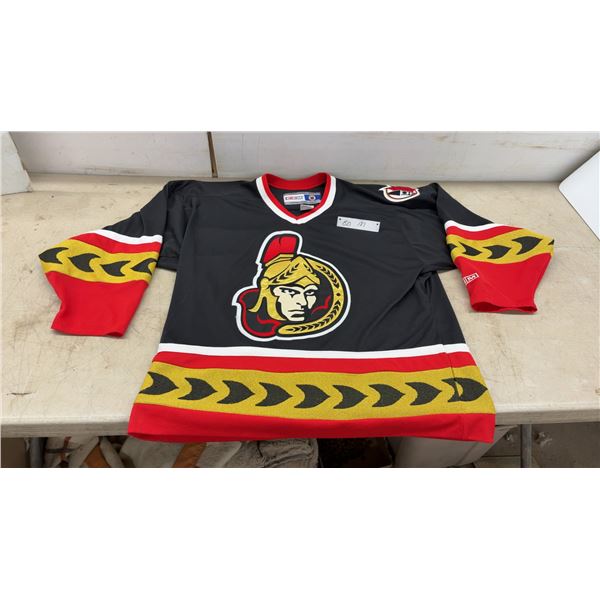 Vintage CCM Ottawa Senators Men's Large NHL Hockey Jersey