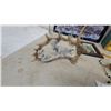 Image 5 : Canoe-Shaped Wall Shelf, Framed Wolf Print, Framed Elephant Print, Antler Wall Decor