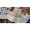 Image 7 : Maui Surfboard Plaque, 2 Furry Animal Figures, Fur and Leather Mat, and Dreamcatchers