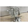 Image 7 : Halloween Blow Mold Ghost and Two Skeleton Props