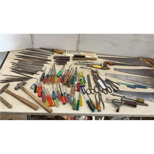 Hand Tools; Saws, Files, Rasps, Screwdrivers, Hammers, Pliers, Manual Hand Drill